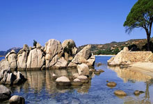 新野未命名